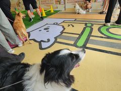 -开元商城(西旺店)