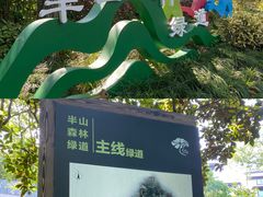 -杭州半山国家森林公园