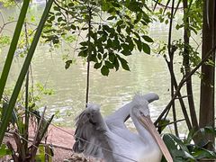 -深圳野生动物园