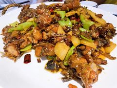 特色干炒鸡-满堂春特色餐馆