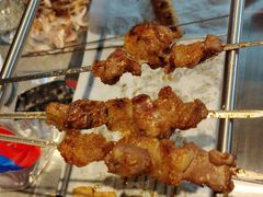 -鼎原力量东北吊炉烧烤(临河街店)