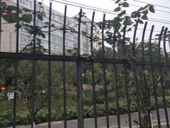 -四川邮电职业技术学院