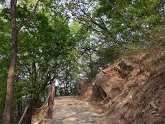 -阳台山自然风景区