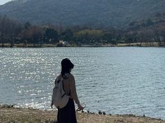 -长广溪湿地公园