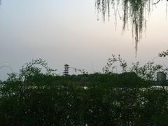-暨阳湖生态园