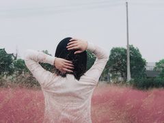 -鹅湖玫瑰文化园
