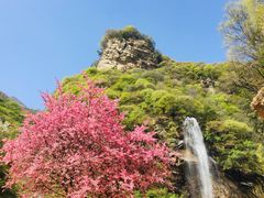 -少华山国家森林公园
