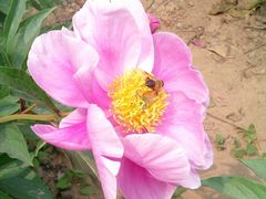 外景-河南省黄河迎宾馆