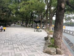 -月湖公园