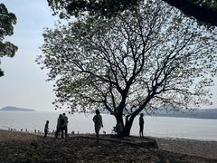 -平湖九龙山旅游度假区