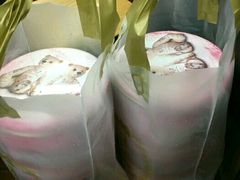 -珍妮曲奇聪明小熊(上环店)