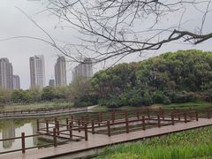 -艾溪湖湿地公园