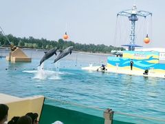 -秦皇岛乐岛海洋王国