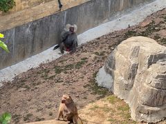 -大连森林动物园