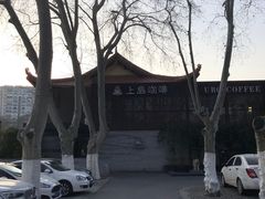 -上岛咖啡(珠园店)