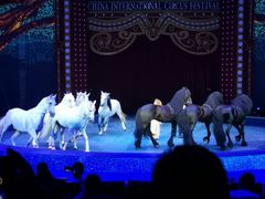 -珠海横琴长隆《卡卡虎奇遇记》