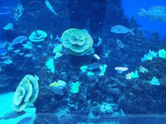 -成都浩海立方海洋公园