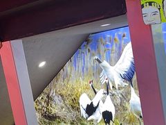 -杨记齐齐哈尔烤肉(总店)