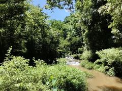 -碧峰峡风景区