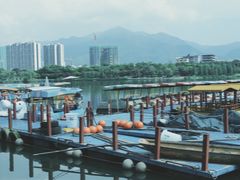 -飞来湖湿地公园