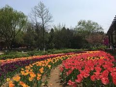 -白马涧龙池景区