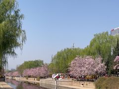 -元大都城垣遗址公园