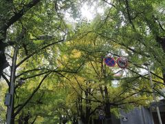 -四川大学(华西校区)