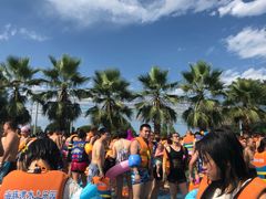 -海豚湾梦幻水上乐园