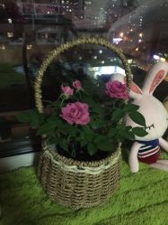 -爱美睫美甲会馆