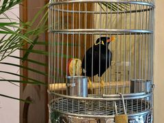 -杭州香格里拉·香宫中餐厅