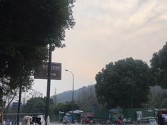 -都江堰中华大熊猫苑