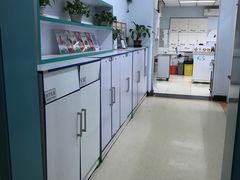 -北京观赏动物医院·24小时大型综合·猫专科·异宠专科