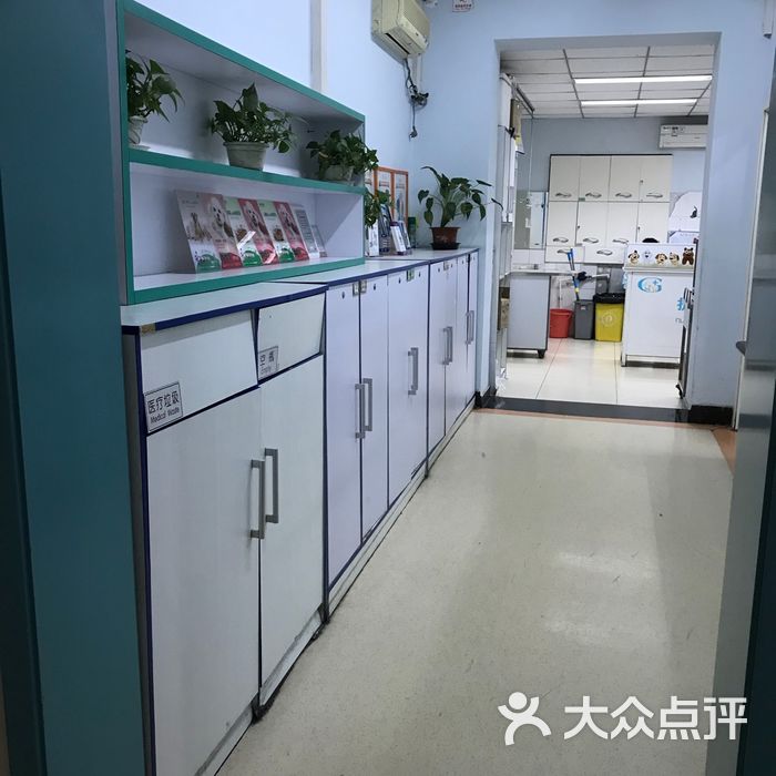 观赏动物医院24h