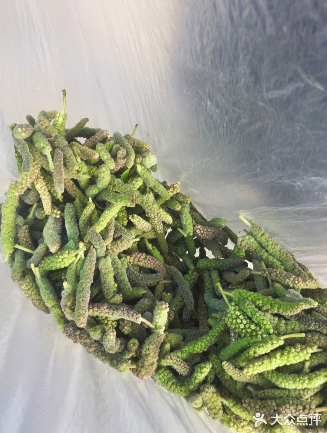 春天的冬虫夏草你一定没吃过！