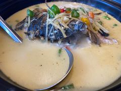 -印象鲵宴·张家界地标美食名片(溪布街店)