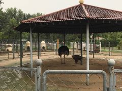 -意大利农场度假村