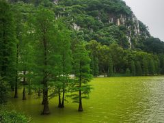 -星湖旅游景区七星岩