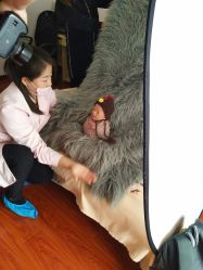 -江阴偶来路儿童摄影(江阴市新体育中心体育场店)