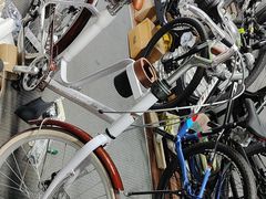 -道路口单车爱瓦士dahon大行