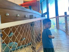 -中国宋庆龄青少年科技文化交流中心
