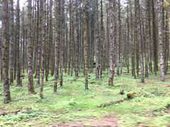 -石棉县孟获城