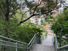 -佛山华盖山公园