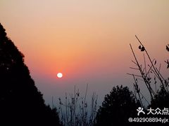 -永定河休闲森林公园