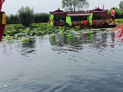 -白洋淀景区