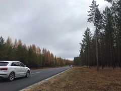 -塞罕坝国家级自然保护区