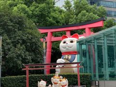 -金虹桥商场