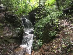-莫里热带雨林景区