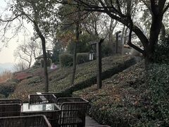 -天目湖涵田半山温泉