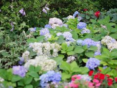 -庐山风景区花径公园