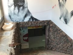 -米卢宠物公园(广华居店)